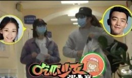 官宣狗仔爆料视频大全,视频大全背后的精彩瞬间