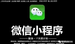 小程序逗哥爆料视频下载