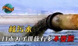 日本核污染水最新爆料,最新爆料揭示严重环境风险”