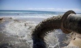 日本核污染水最新爆料,最新爆料揭示严重环境风险”