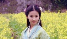 赵灵儿官方爆料视频播放,揭秘幕后故事与精彩瞬间