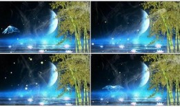 月光爆料最新视频下载安装,揭秘下载安装全攻略