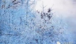 晚秋爆料雪山围子视频,晚秋揭秘神秘秋日奇观