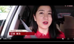 荷兰女记者爆料视频播放,视频播放背后的惊人真相