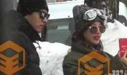 官宣狗仔爆料视频大全,视频大全背后的精彩瞬间