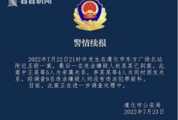 打架视频最新爆料软件,打架视频软件揭秘，真相令人震惊！