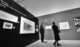 苏州美术馆爆料事件视频,揭秘背后真相