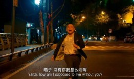 岳云鹏爆料郑州事件视频,揭秘背后真相与争议