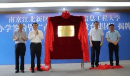 杞县新农网爆料最新消息,揭秘当地农业发展新动态