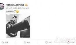 一飞直播爆料视频大全,揭秘幕后真相与精彩瞬间