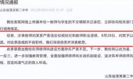 爆料刘老师聊天事件视频,揭秘背后惊人真相