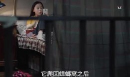 小孩子爆料父母秘密视频,孩子意外发现父母私密视频，引发家庭风波