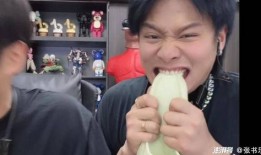 娱乐圈吃瓜小杨哥是谁,揭秘网络红人背后的故事