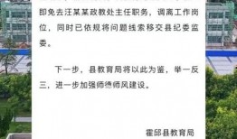德爱中学爆料视频最新消息,揭秘校园内幕，真相令人震惊！