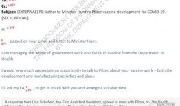 辉瑞高管爆料最新消息,疫苗研发进展及市场策略大揭秘