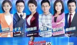 爆料我国各地新闻主播,揭秘幕后声音背后的故事