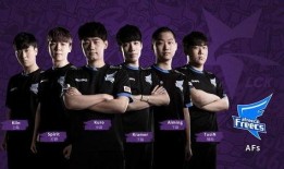 在线观看战队,揭秘虚拟竞技的魅力与未来