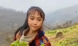 赵灵儿官方爆料视频播放,揭秘幕后故事与精彩瞬间