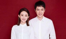 吃瓜娱乐圈离婚,瓜分爱情，揭秘明星婚姻真相