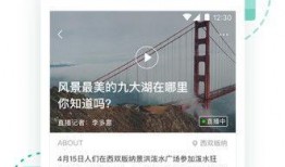 手机爆料新闻视频,最新科技新闻视频深度解析