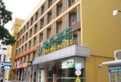 夏湾宠物街最新爆料,独家爆料揭秘宠物街最新潮流趋势