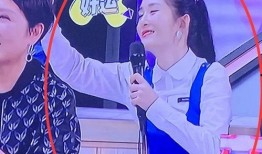 刘维爆料怀孕视频大全,娱乐圈新喜讯背后的温馨瞬间