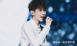 娱乐爆料王源成分析,娱乐爆料王，揭秘明星幕后故事