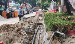 绵阳最新凯厦砍树爆料消息,真相与争议交织