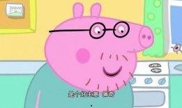 佩奇爆料日记大全视频下载,视频下载背后的精彩故事