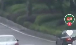 网约车女乘客爆料新闻事件,勇敢揭露事件真相