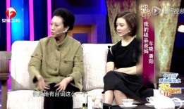 车晓爆料王丽云视频,揭秘娱乐圈背后故事