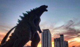 荒野乱斗第7季爆料视频,揭秘全新爆料，激战一触即发！