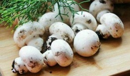 蘑菇视频爆料黑料吃瓜官网,揭秘吃瓜官网背后的真相