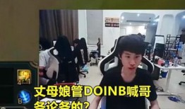 锤子丈母娘爆料视频,家庭内幕大公开