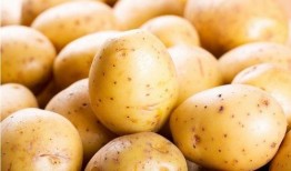 土豆网在线观看,畅享海量影视资源，在线观看新体验