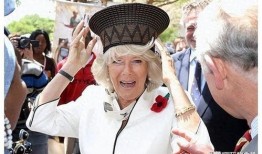 安妮公主最新爆料图片,揭秘王室生活幕后真相