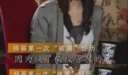 娱乐圈真实事件爆料大全,揭秘真实事件背后的惊人真相