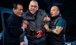 潜龙风云国语在线观看,揭秘网络江湖的隐秘世界