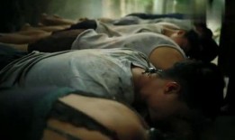 人体实验最新爆料新闻,最新爆料揭露惊人真相