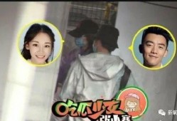 官宣狗仔爆料视频大全,视频大全背后的精彩瞬间