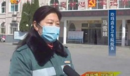 河南爆料西安新闻,揭秘西安最新热点事件