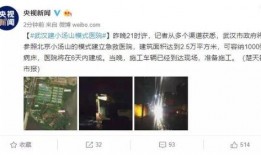 深圳小萍最近爆料新闻,揭秘近期热点事件背后真相