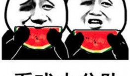 娱乐吃瓜表情图片,笑翻你的表情瞬间