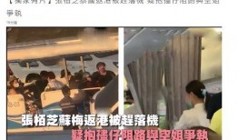 泰国空姐爆料视频,揭秘航空业不为人知的秘密