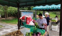 和平集市最新爆料新闻,揭秘神秘事件背后的真相