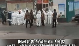 各种热门事件爆料视频大全,视频爆料大全深度解析