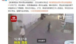 高中生最新爆料视频播放,高中生最新爆料视频引发热议
