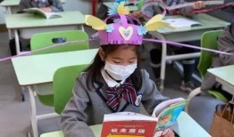 杭州小学生爆料事件最新,校园霸凌真相揭露引发社会关注